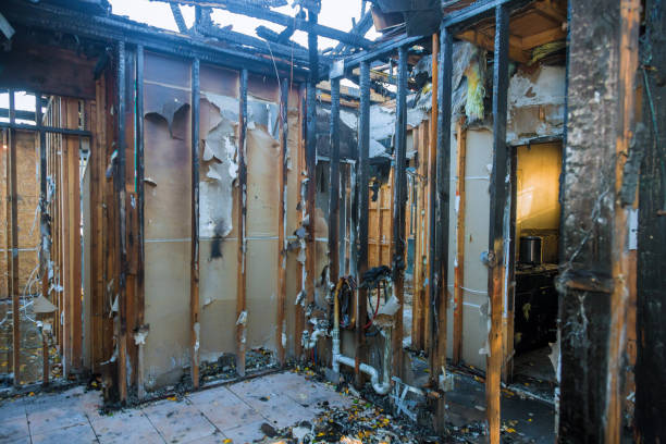 Professional Smoke Damage Removal technician working in Stevenson Ranch, CA